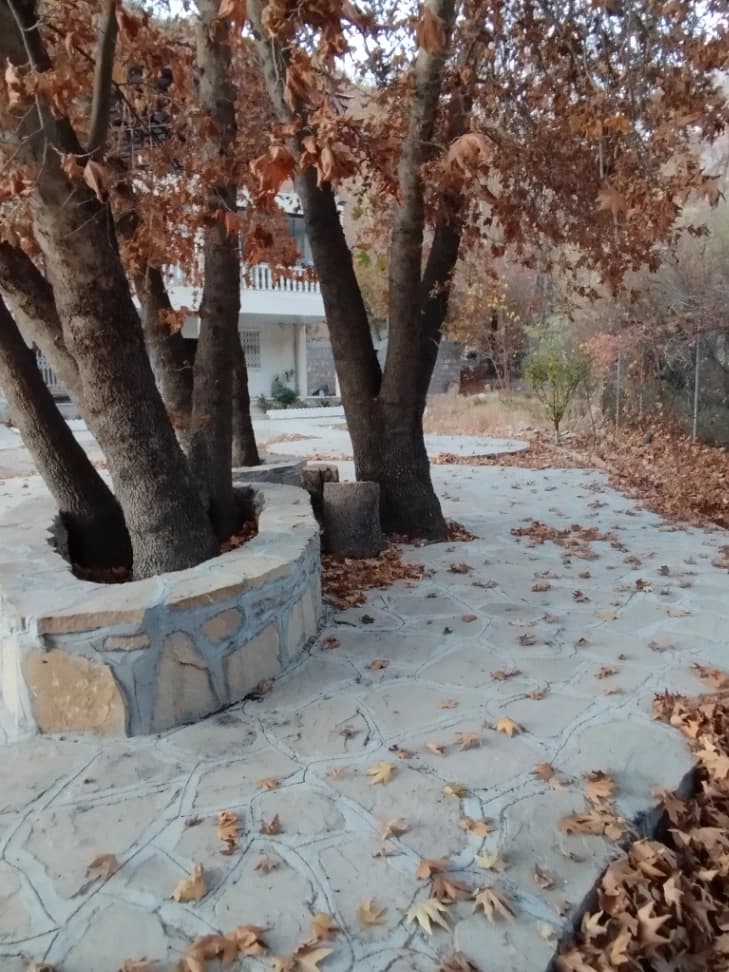 محوطه 