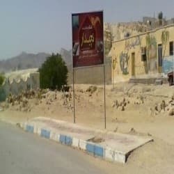 hostIntroImage-محمد پوزیده