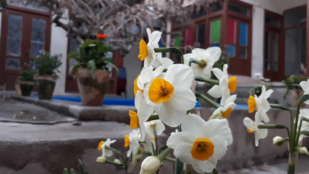 اجاره هاستل ارزان قیمت در مرکز شهر اصفهان 