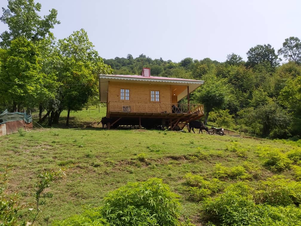 اجاره کلبه چوبی جنگلی در ییلاقات ماسال 