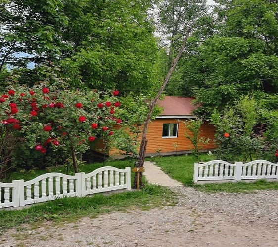 اجاره کلبه جنگلی چوبی در سیاه دول - کلبه 3