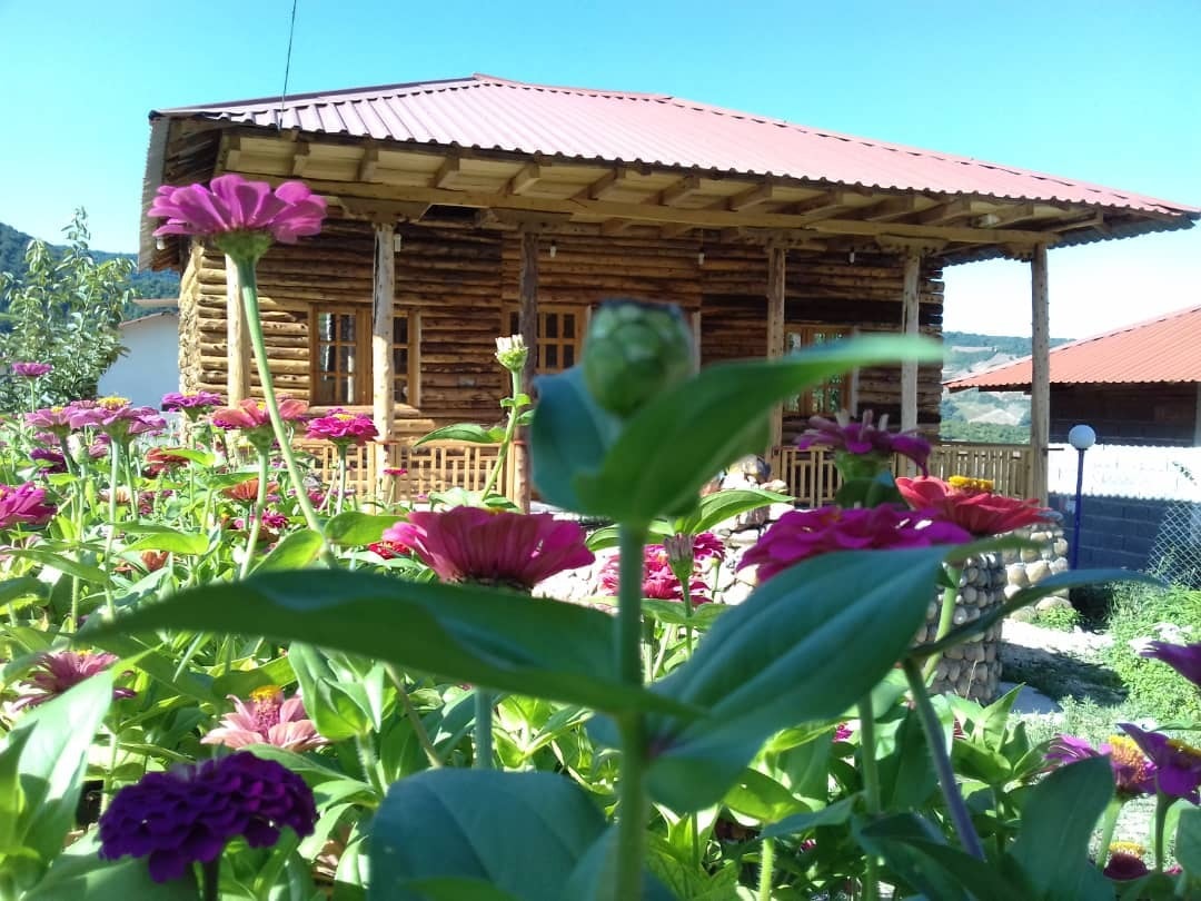 اجاره کلبه چوبی در روستای جیربند بهشهر  -  افرا