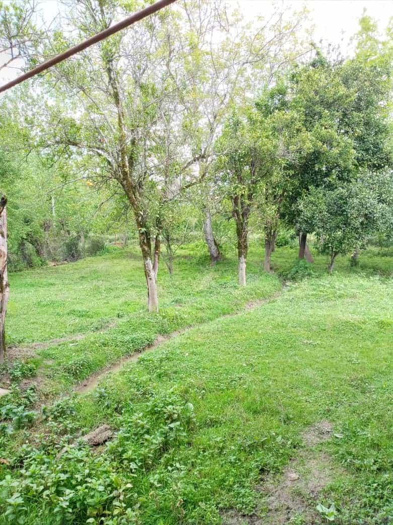 اجاره باغ و ویلا در سیاه مرد ماسال