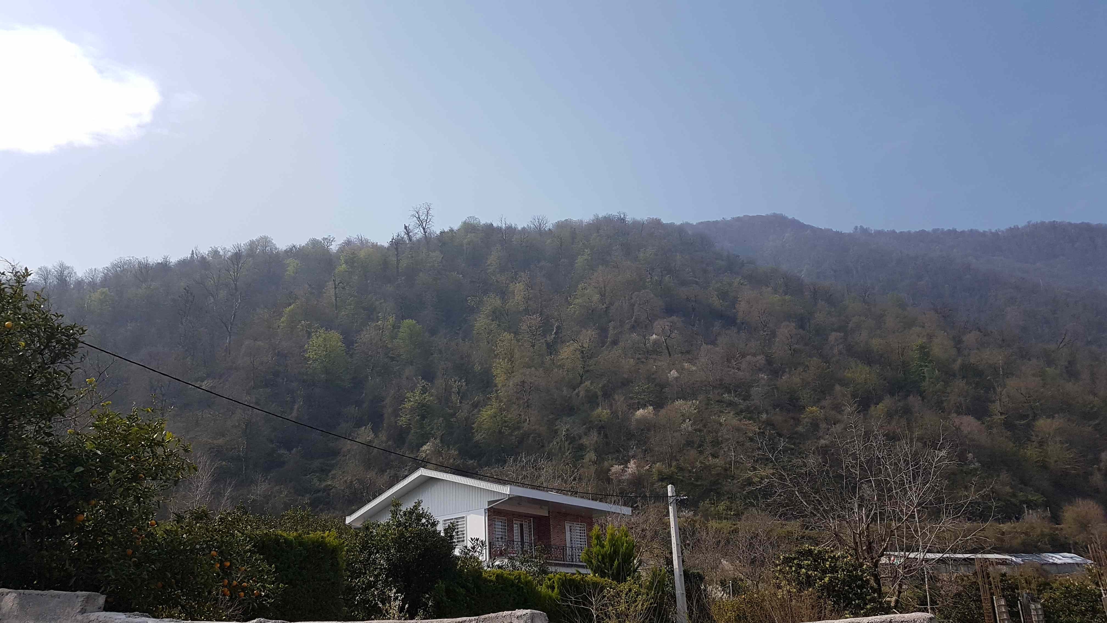 اجاره ویلا جنگلی در هچیرود مازندران