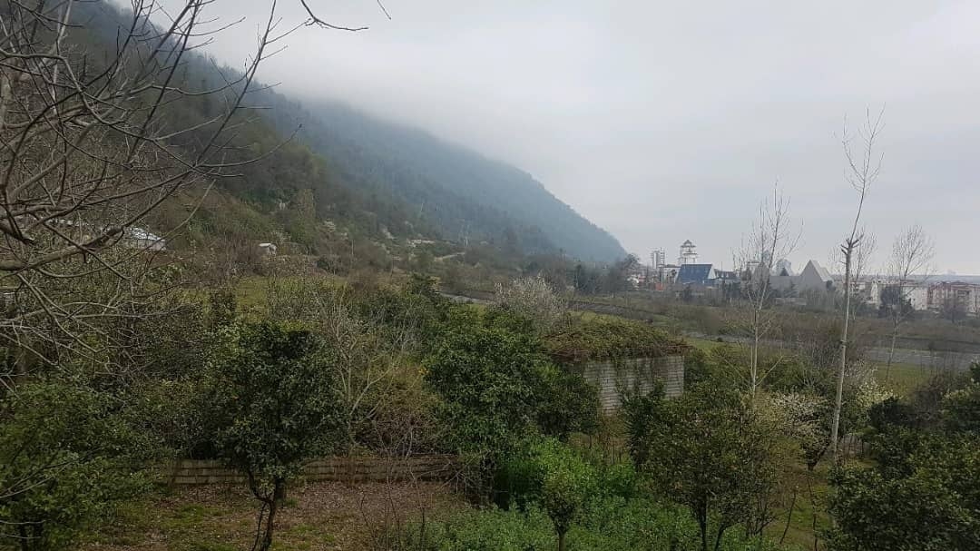 اجاره ویلا جنگلی در هچیرود مازندران