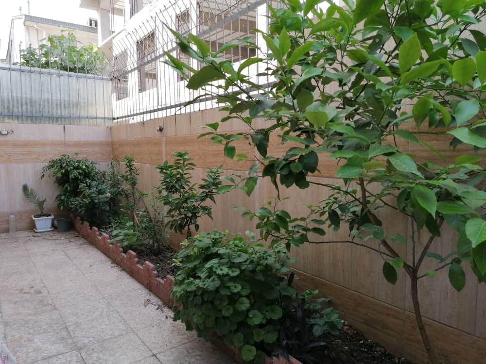 اجاره منزل مبله در بلوار انصاری رشت - مهر2