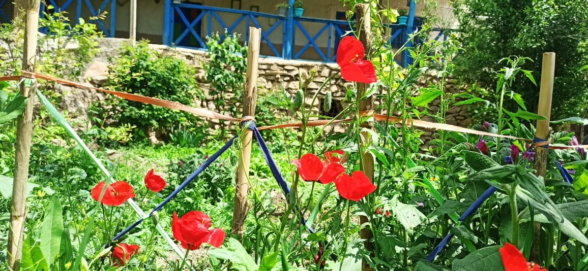 اجاره خانه سنتی در آزادشهر - اتاق 4