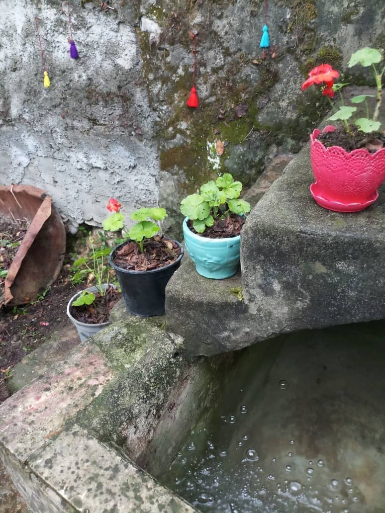 اجاره اتاق سنتی در سواد کوه - اتاق 2