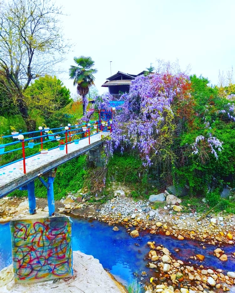 اجاره ویلا جنگلی در رمک رامسر- واحد 2