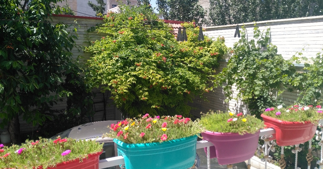 اجاره منزل مبله در ایل گلی تبریز - واحد3