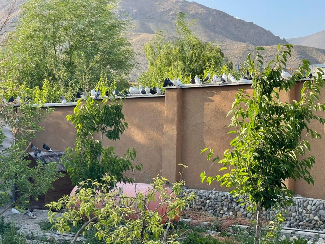 اجاره ویلا استخردار در سربندان دماوند - 707