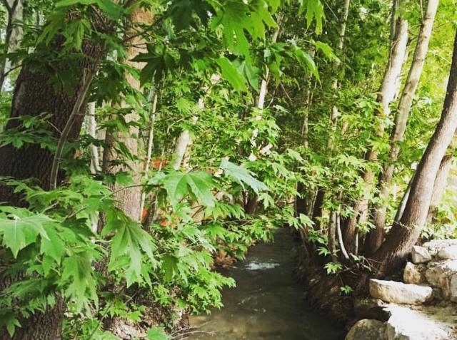 اجاره خانه باغ در باغ تفریحی سپیدان