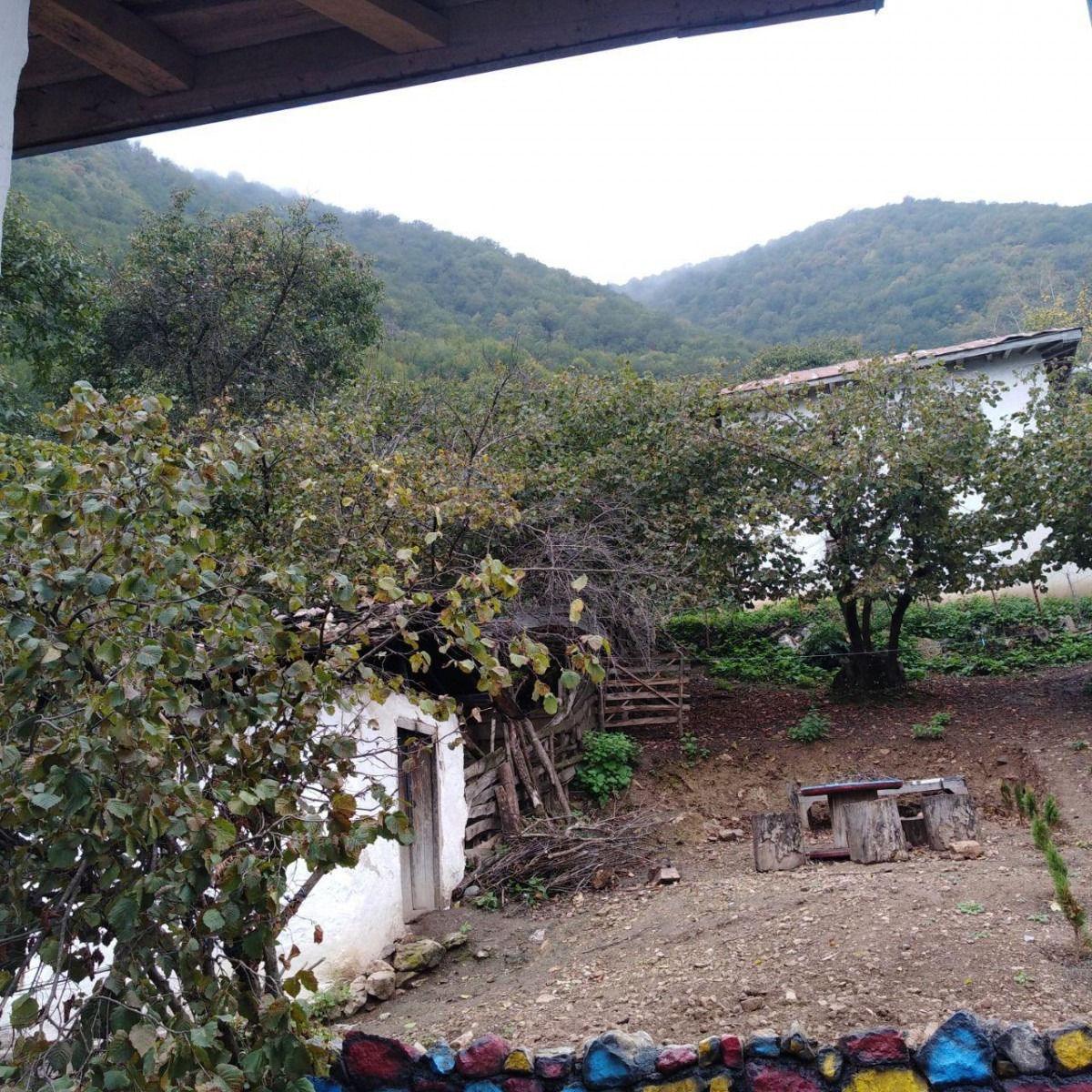 اجاره کلبه سنتی جنگلی در روستای مشاورک رامسر