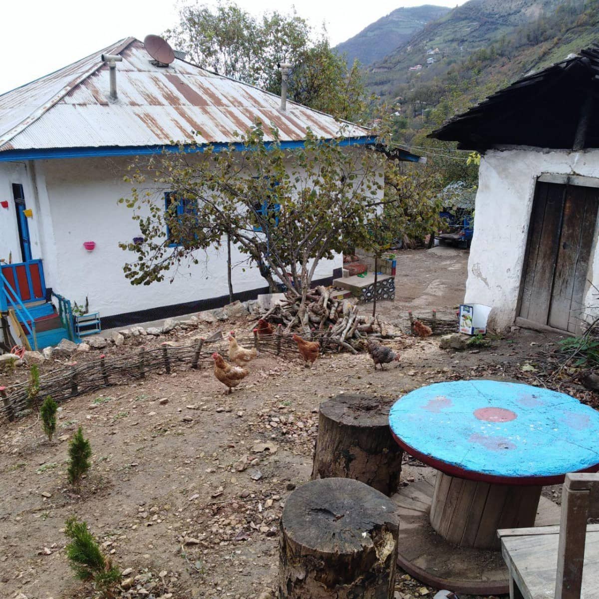 اجاره کلبه سنتی جنگلی در روستای مشاورک رامسر