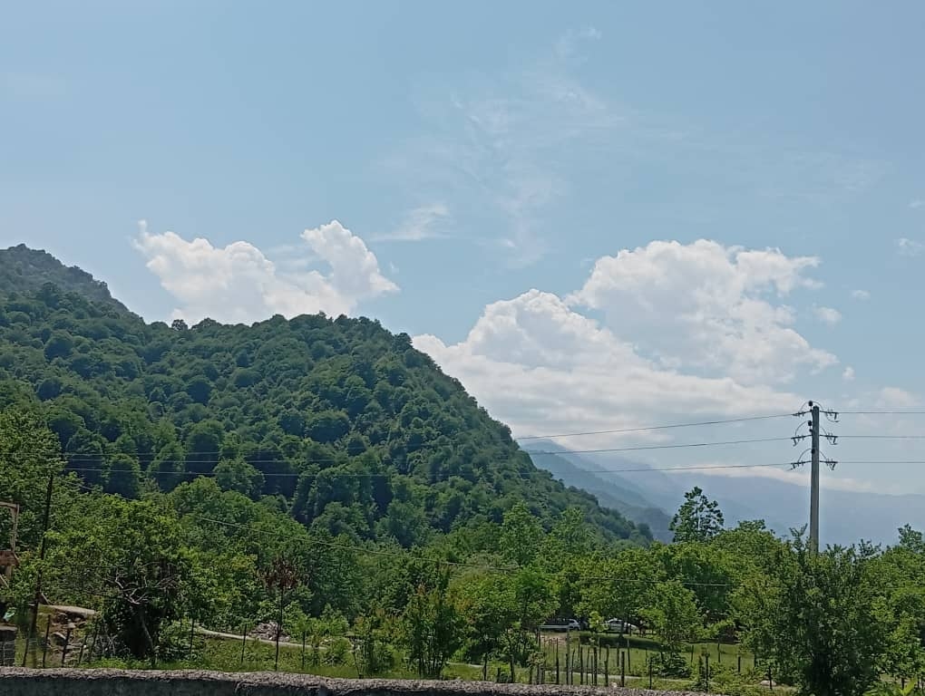 اجاره سوئیت جنگلی در ماکلوان فومن - 1