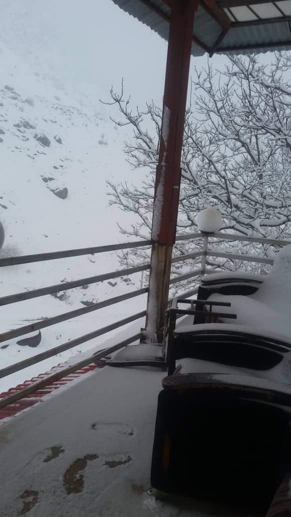 اجاره آپارتمان جنگلی در جواهرده رامسر