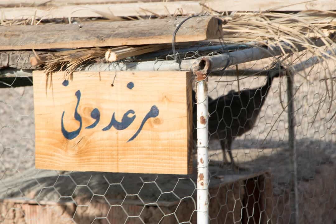 اجاره خانه ی بومگردی سنتی در کرمان