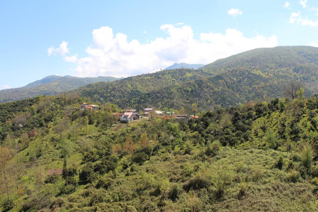 اجاره باغ و ویلا در رود سر گیلان