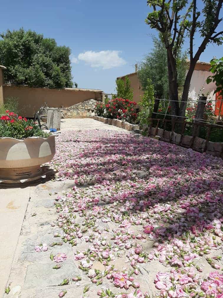 اجاره اتاق سنتی در (درب قلعه )استهبان