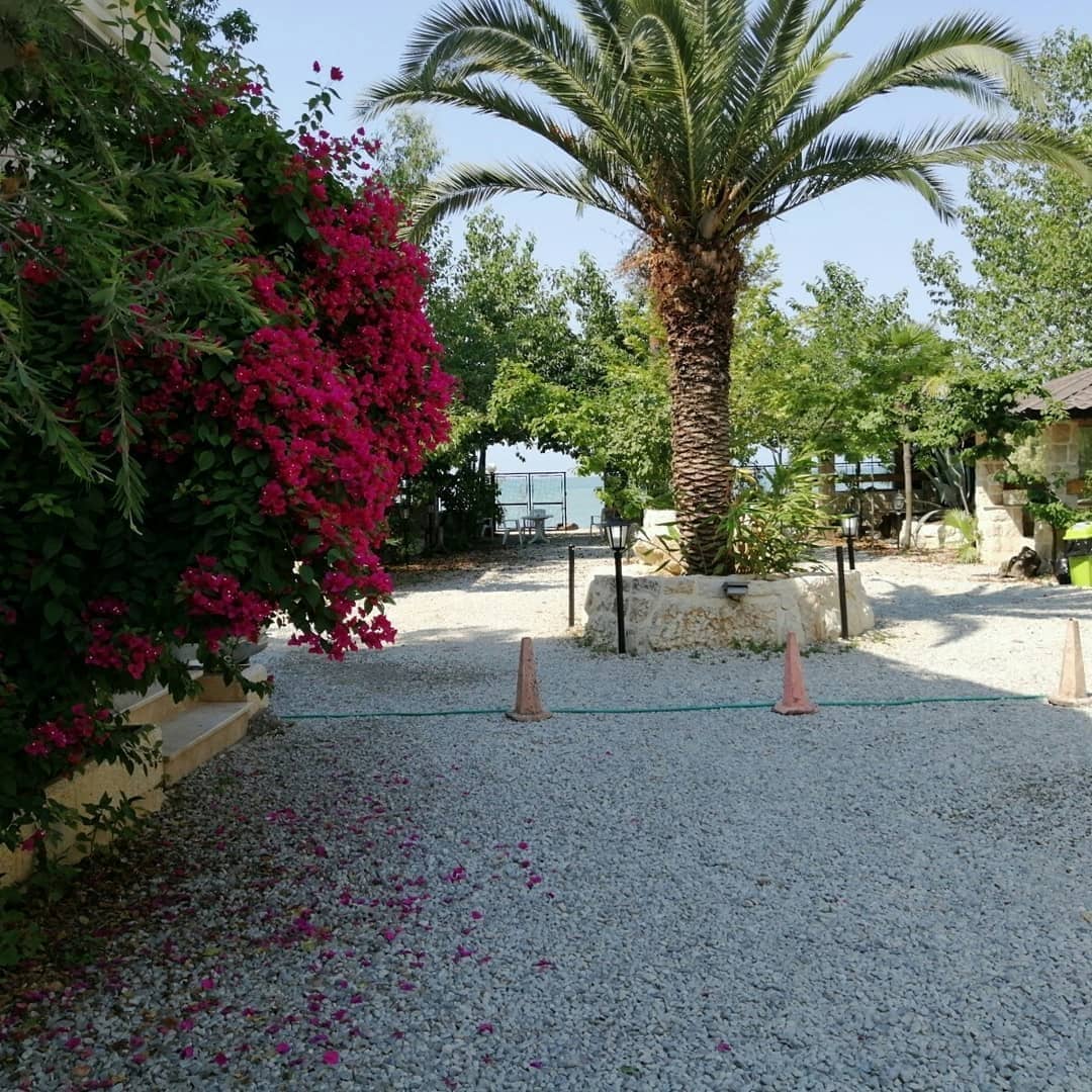 اجاره ویلا ساحلی دو خواب در امام رضا نوشهر