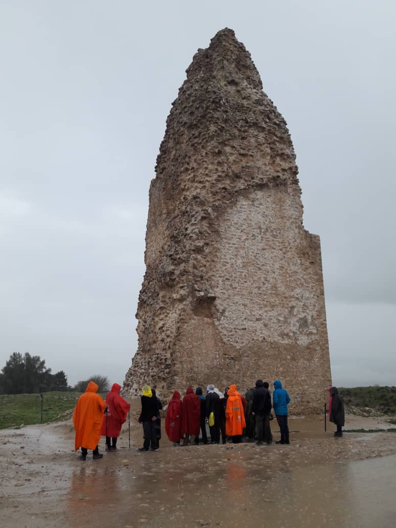 اجاره کلبه چوبی در کاخ اردشیر بابکان فیروزآباد - کلبه بزرگ