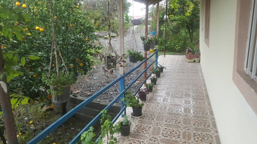 اجاره  ویلا جنگلی در بازنشین رودسر