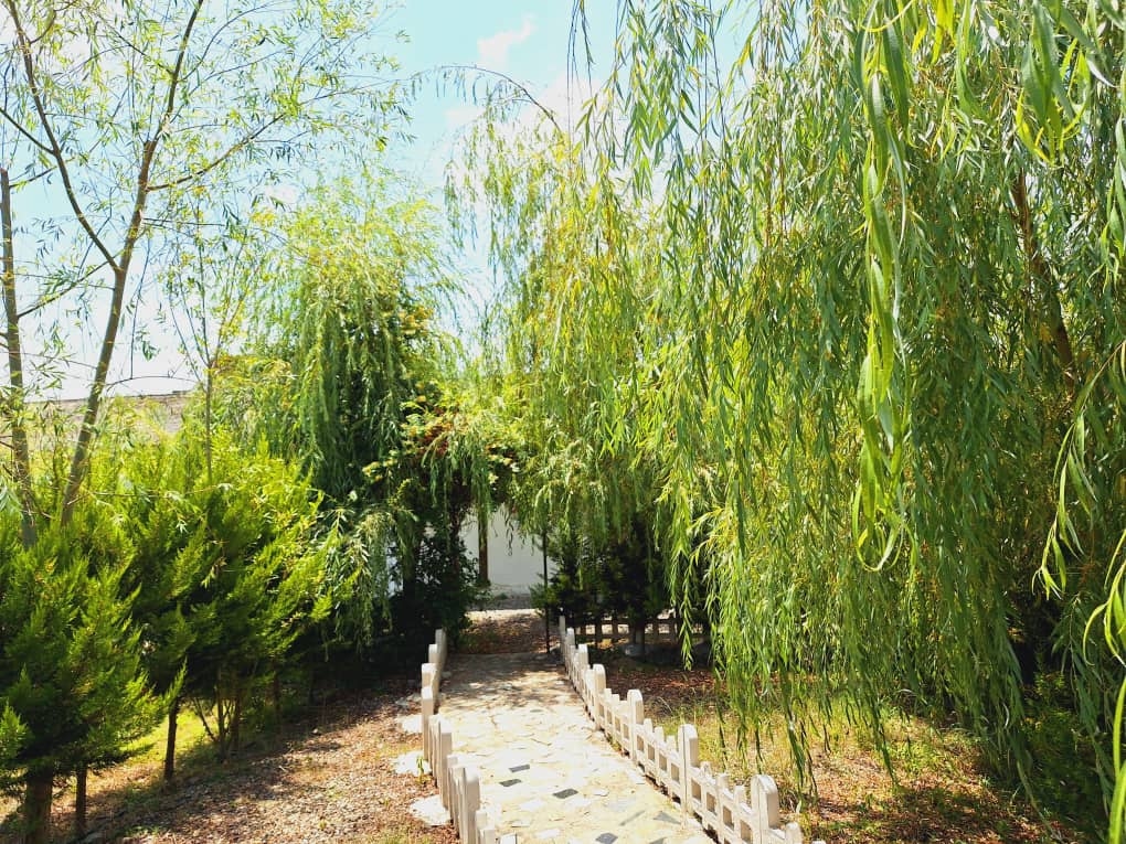 اجاره خانه ویلایی اسالم - سعدی