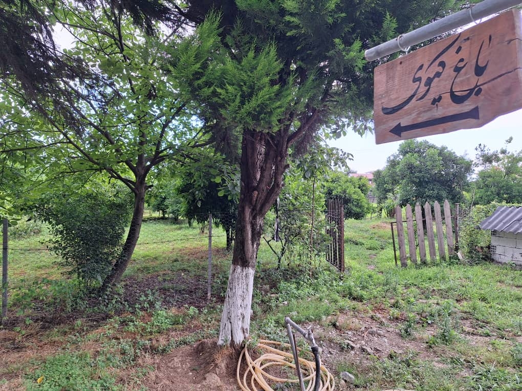 اجاره خانه ویلایی در اسالم - رودکی