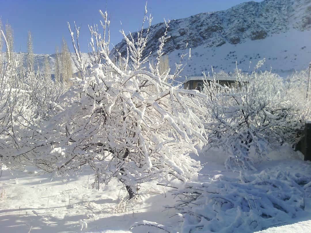 اجاره خانه باغ در کمهر سپیدان