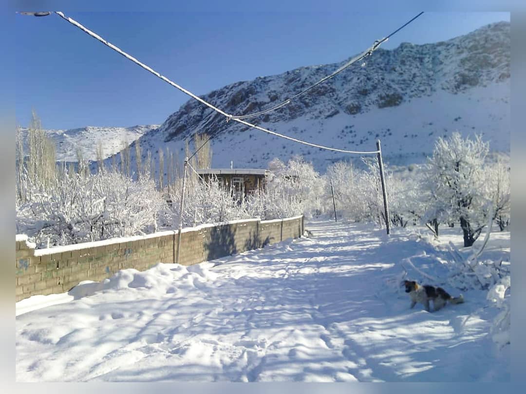 اجاره خانه باغ در کمهر سپیدان