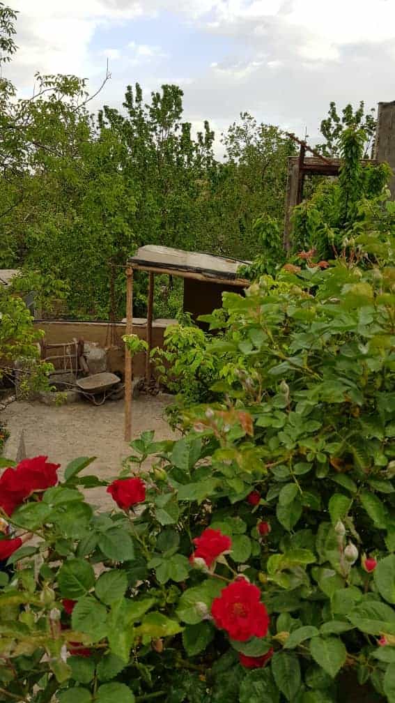 اجاره خانه روستایی در ابرده شاندیز مشهد