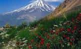اجاره بومگردی سنتی در ابرده مشهد