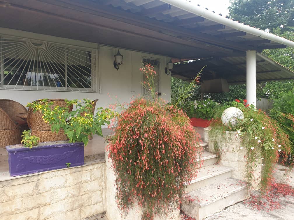 اجاره باغ ویلا جنگلی در بندپی نوشهر