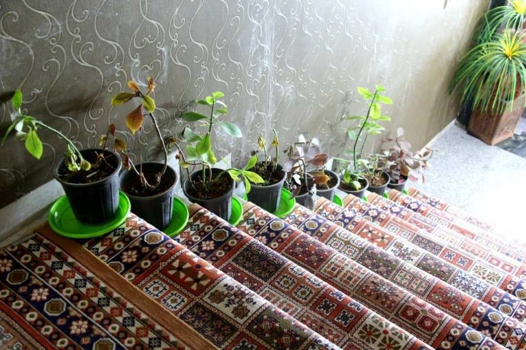 اجاره هتل سوئیت مبله در کرمان - 4