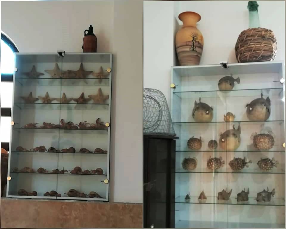 اجاره اقامتگاه بومگردی در روستای بوجیکدان - 40 متر طبقه همکف