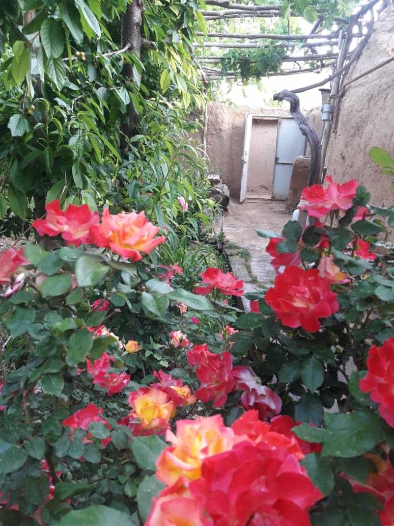 اجاره سوئیت سنتی در روئین اسفراین - دژ1