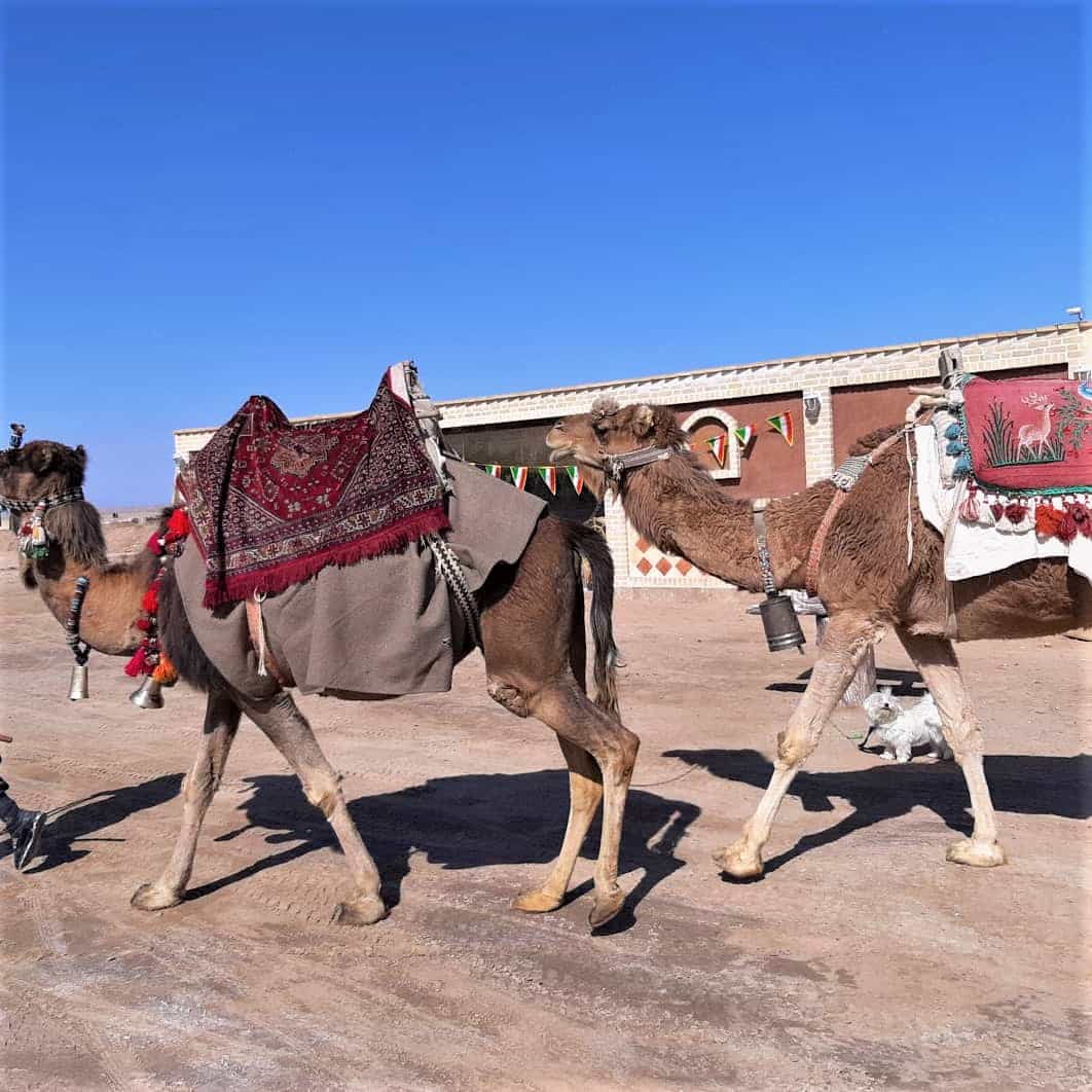 اجاره کاروانسرا کویری در مرنجاب آران و بیدگل-24 متری غیرمستر