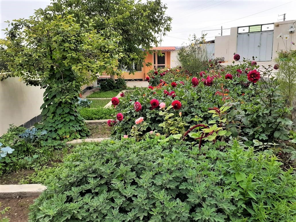 اجاره سوئیت ویلایی در آغویه کلیبر