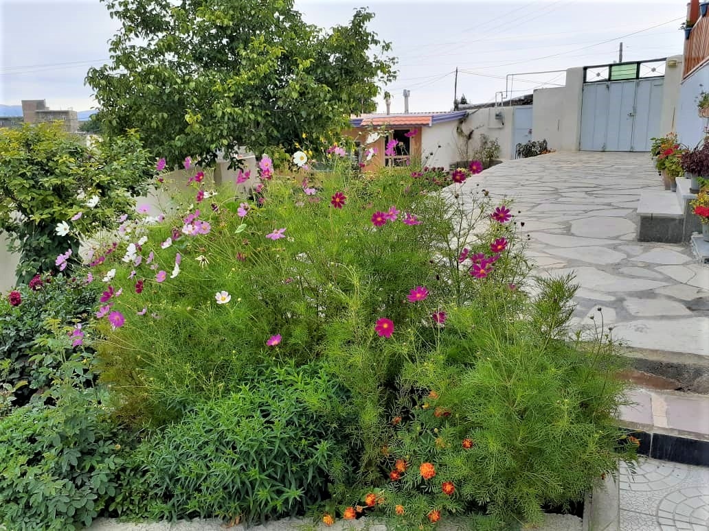 اجاره سوئیت ویلایی در آغویه کلیبر