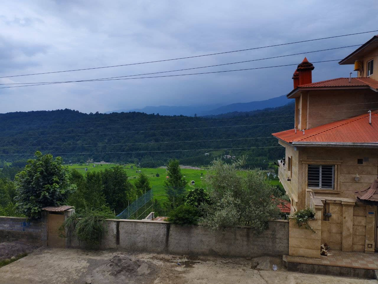 اجاره منزل مبله جنگلی در روستای رئیس کلا لفور -شیرگاه