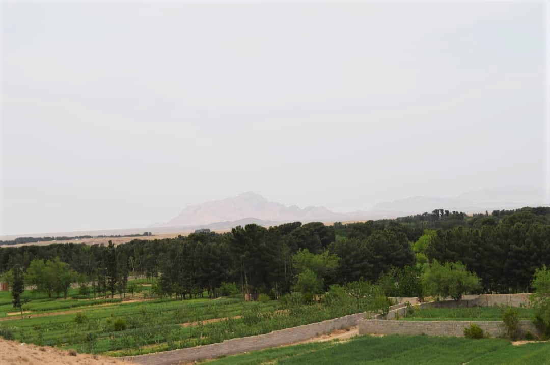 اجاره اتاق سنتی در خاتم الانبیا سنگان - 3