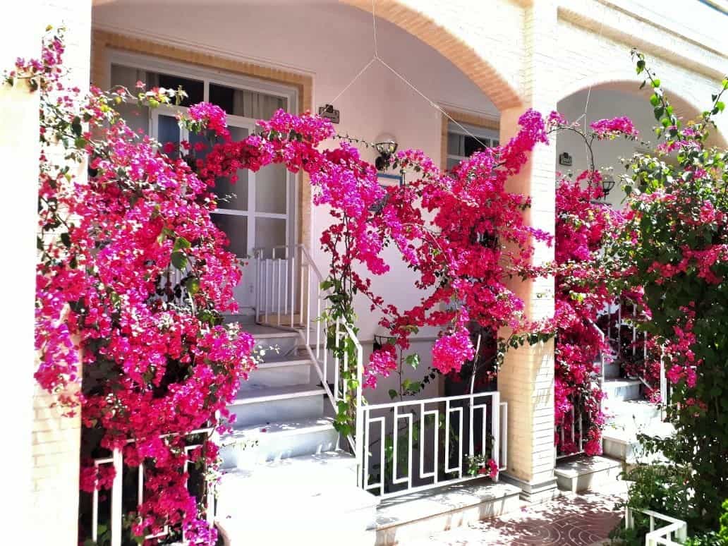 اجاره مهمانسرای سنتی در یزد - یک تخته