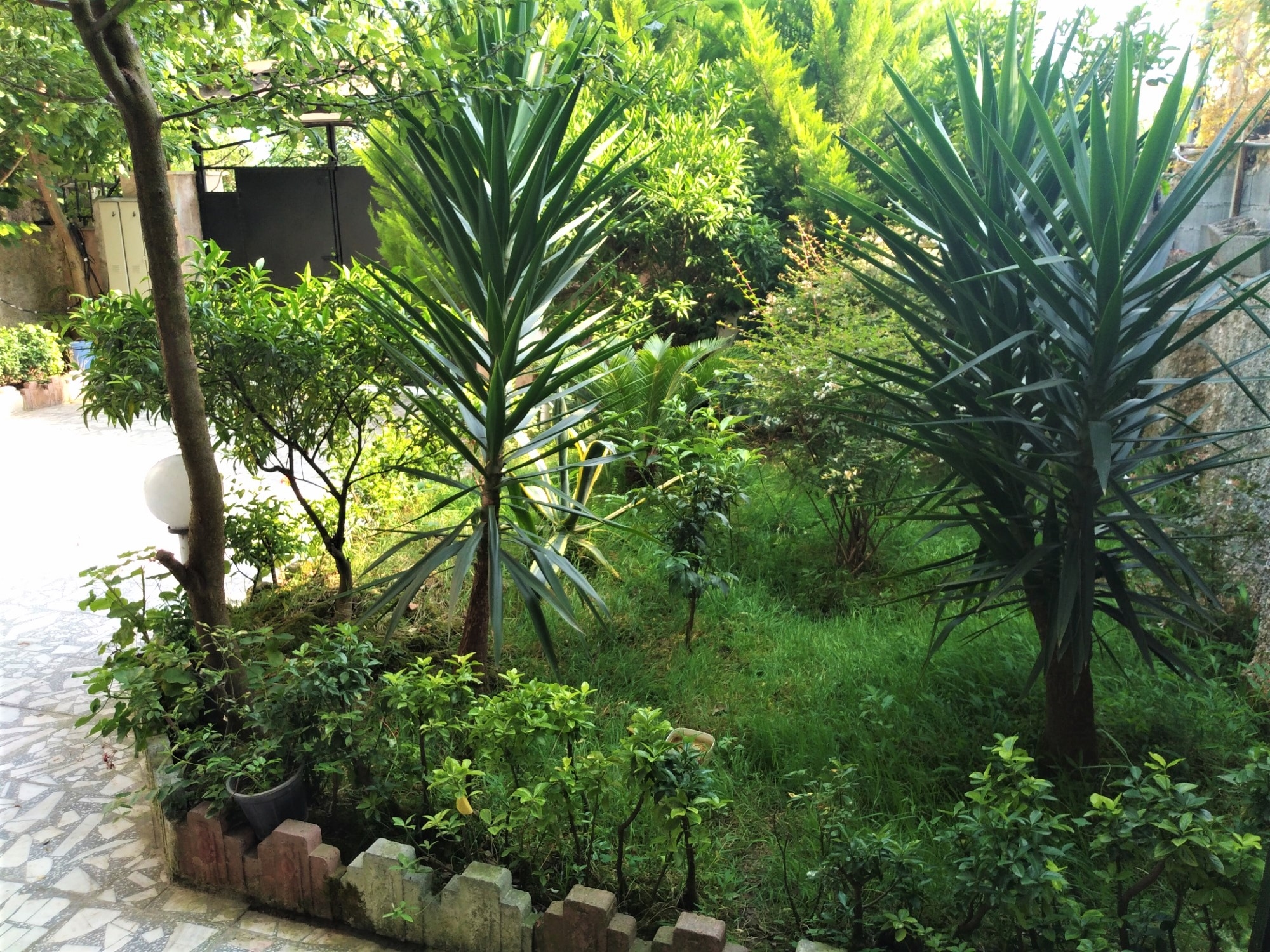 اجاره آپارتمان مبله دو خوابه 85 متری در امام رود چالوس