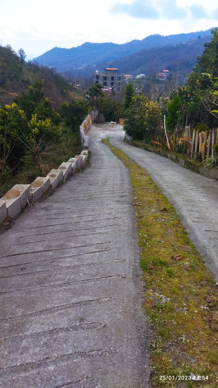 اجاره کلبه چوبی جنگلی در رامسر