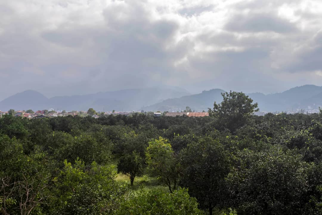 اجاره ویلا با استخرسرپوشیده در عباس مفرد رامسر