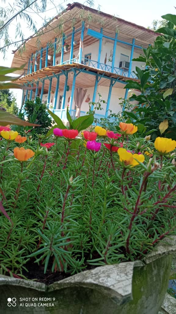 اقامتگاه جنگلی دوبلکس در کوچصفهان