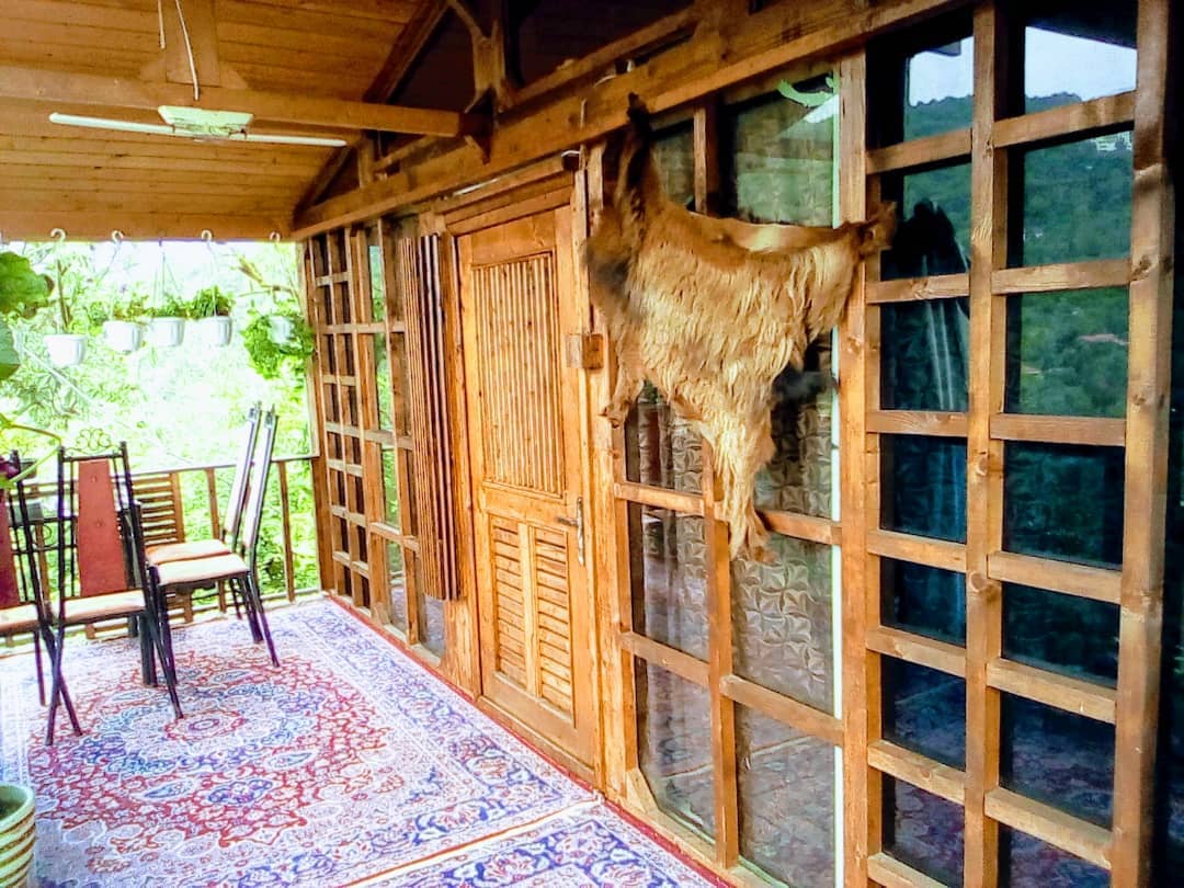 اجاره کلبه چوبی جنگلی در جاده جواهرده - رامسر