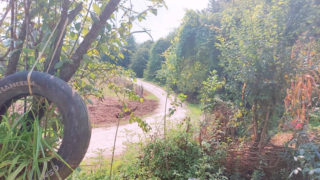 اجاره  ویلا جنگلی در روستای واسکس -قائم شهر - ویلا چشمه