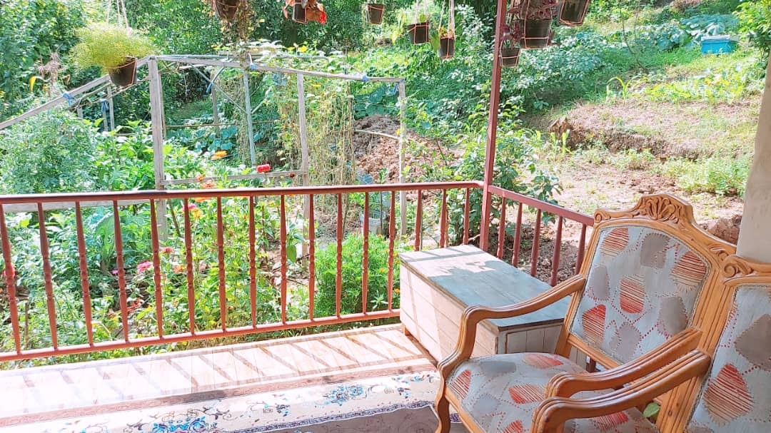 اجاره  ویلا جنگلی در روستای واسکس -قائم شهر - ویلا چشمه