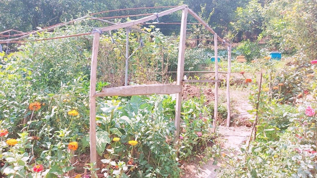 اجاره  ویلا جنگلی در روستای واسکس -قائم شهر - ویلا چشمه